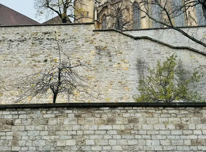 Design Am Dom * Erfurt